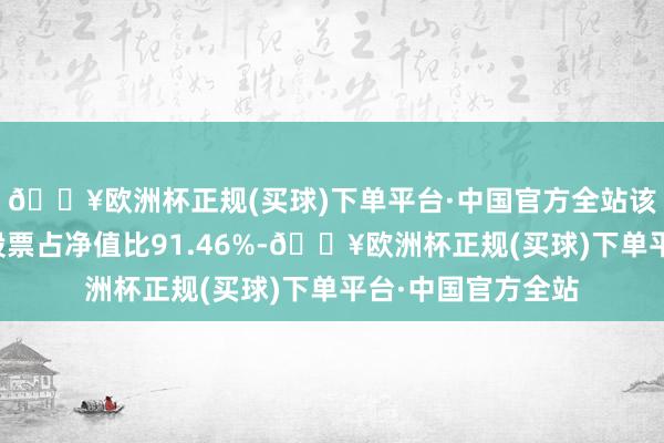 🔥欧洲杯正规(买球)下单平台·中国官方全站该基金钞票树立：股票占净值比91.46%-🔥欧洲杯正规(买球)下单平台·中国官方全站