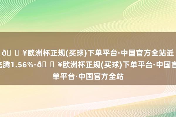 🔥欧洲杯正规(买球)下单平台·中国官方全站近3个月飞腾1.56%-🔥欧洲杯正规(买球)下单平台·中国官方全站