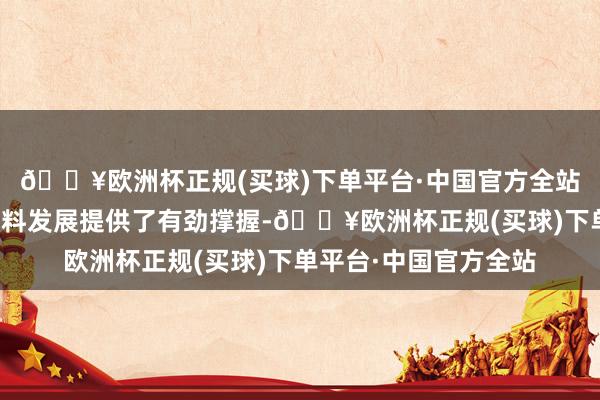 🔥欧洲杯正规(买球)下单平台·中国官方全站为推动经济社会高质料发展提供了有劲撑握-🔥欧洲杯正规(买球)下单平台·中国官方全站